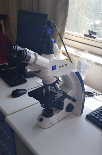 Trinoküler Mikroskop ve Axiocam 105 Model Dijital Kamera