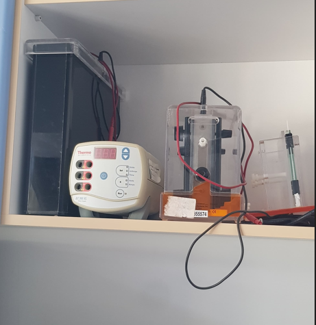 Elektroforez ve Bloting Sistemi