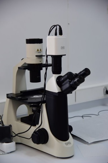Optik Mikroskop 