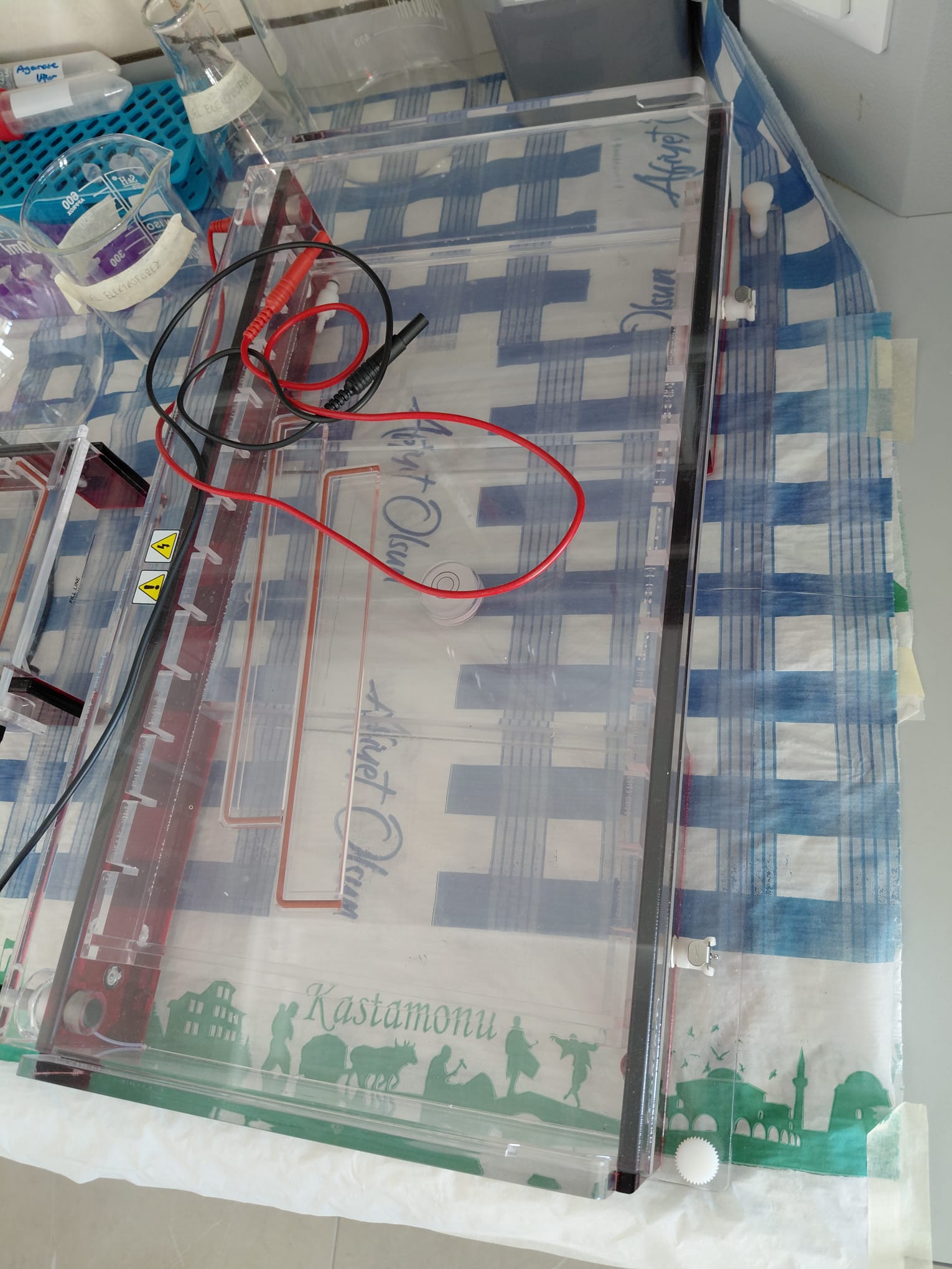 14-Nükleik Asit Yatay Elektroforez Tank Sistemi (Küçük Ebat)