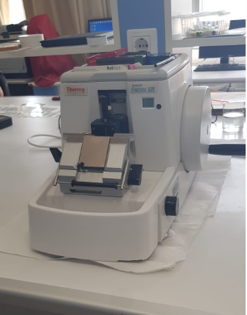 Rotary Mikrotorm Cihazı