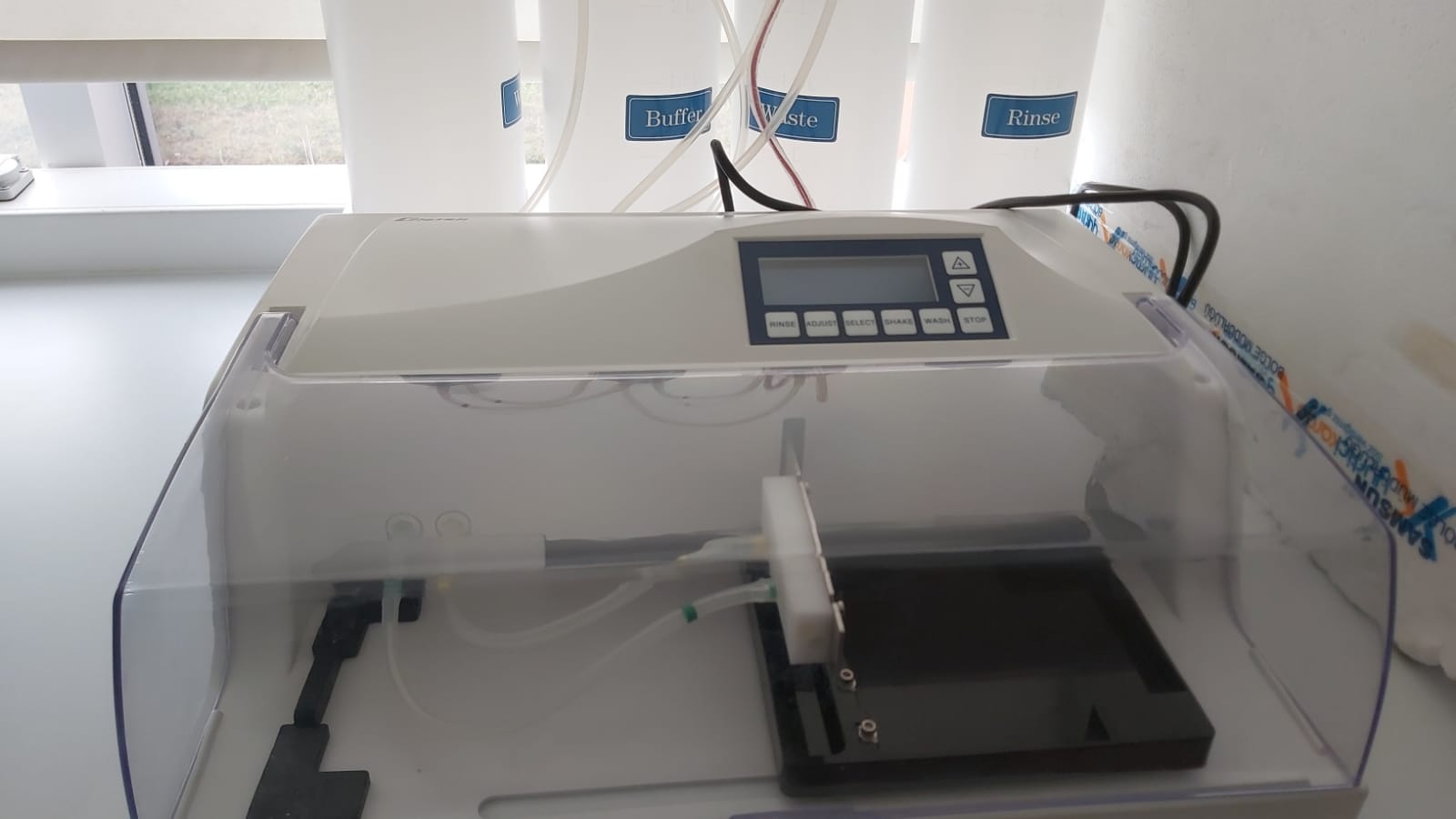 Elisa Washer
