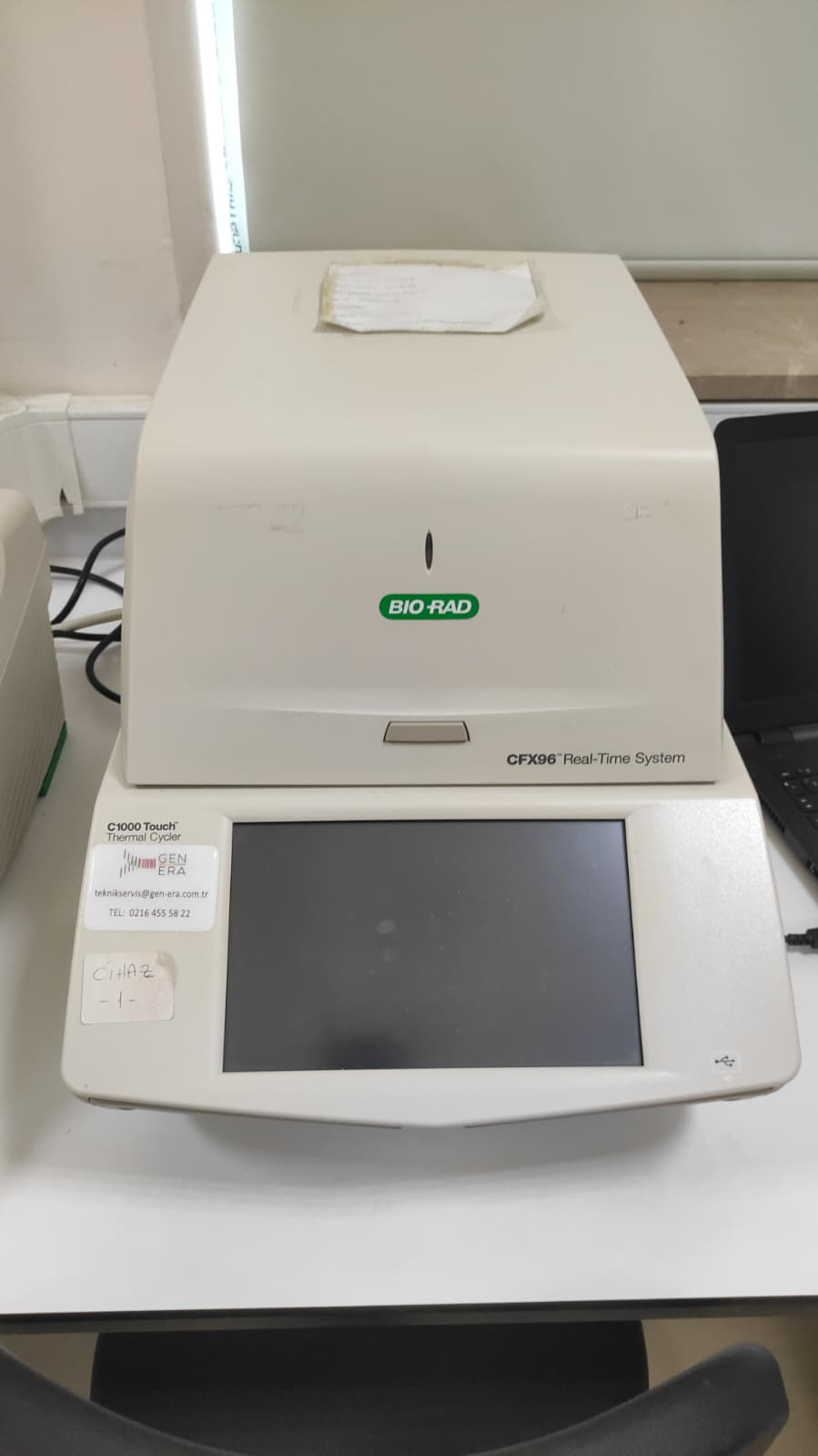 Real Time PCR